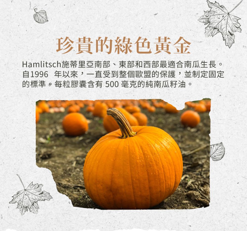 Sanct Bernhard 德國百年草本-南瓜籽油膠囊(400粒/罐)