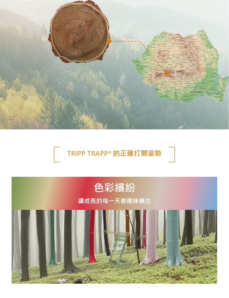 Stokke - Tripp Trapp 成長椅-春苔綠
