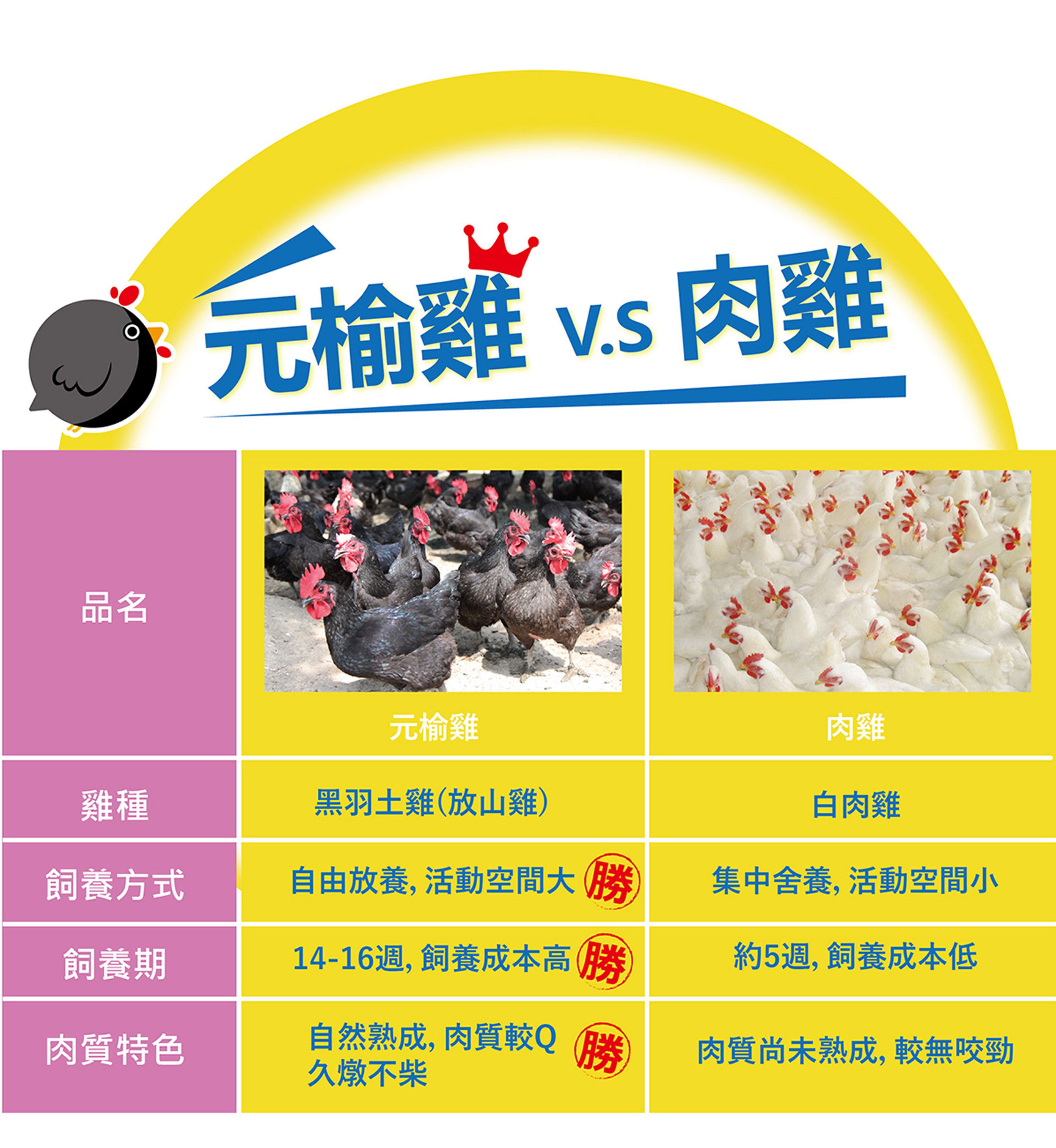 中秋燒鳥串燒【元榆牧場】無添加、零藥殘安心雞