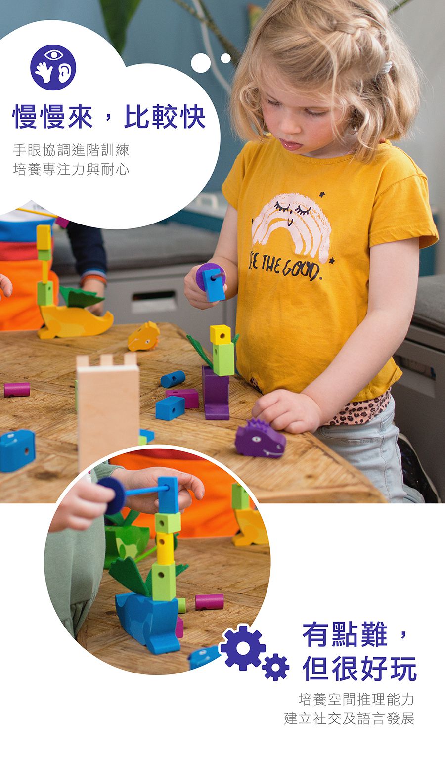 荷蘭BS - 馴龍高手