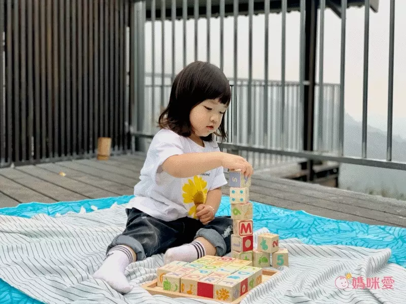 益智學習【英國 Le Toy Van、澳洲 Kiddie Connect】啟蒙教具