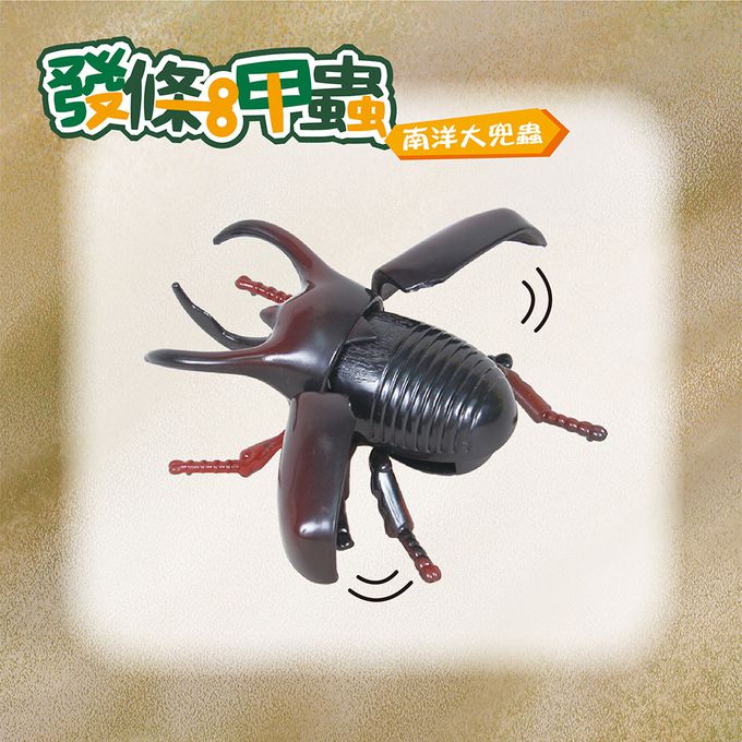 世一文化 - 發條甲蟲-大兜蟲