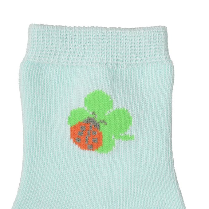 akachan honpo - 襪子3雙組-瓢蟲-淺藍色 (9~14cm)