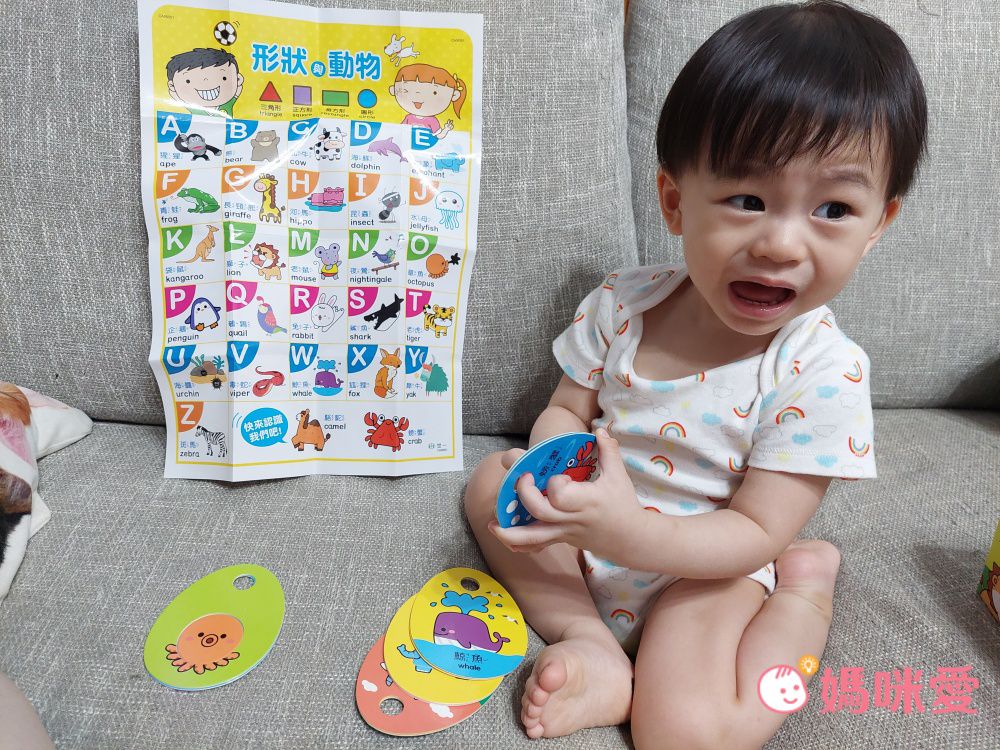 世一文化 - FUN玩形狀配對2套組-動物+交通工具