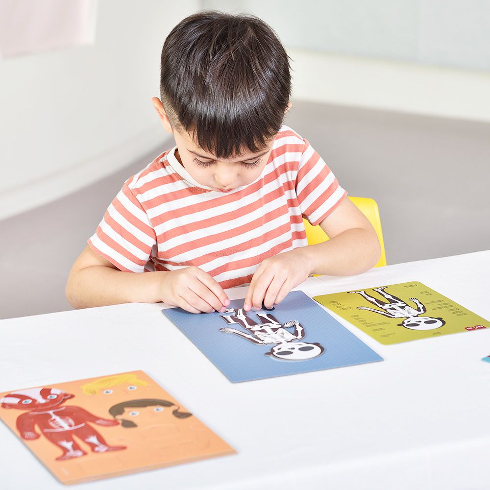 西班牙 APLI - 人體結構讀一讀