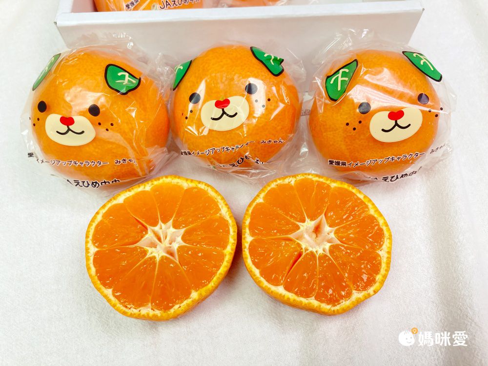 日本直送！【愛媛縣 中島犬蜜柑禮盒】濃郁柑香​ 皮薄無籽