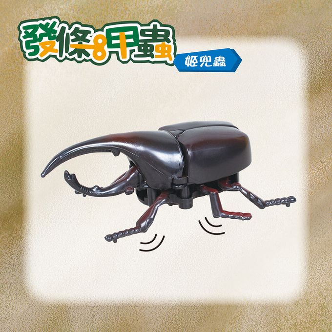 世一文化 - 發條甲蟲-姬兜蟲
