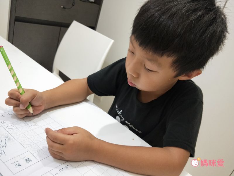 STABILO思筆樂 - 洞洞筆 鉛筆系列 左手 HB(藍綠) 6支入