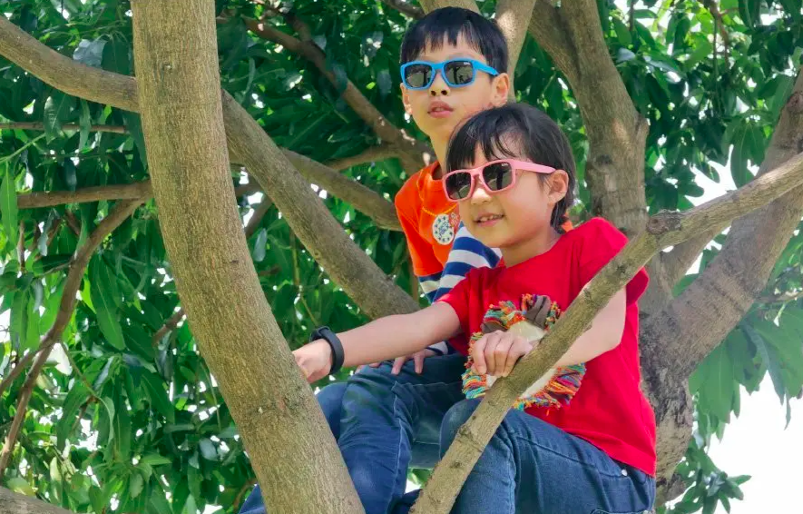 LOVEYE - 偏光墨鏡-黑莓派對-藍碰黑