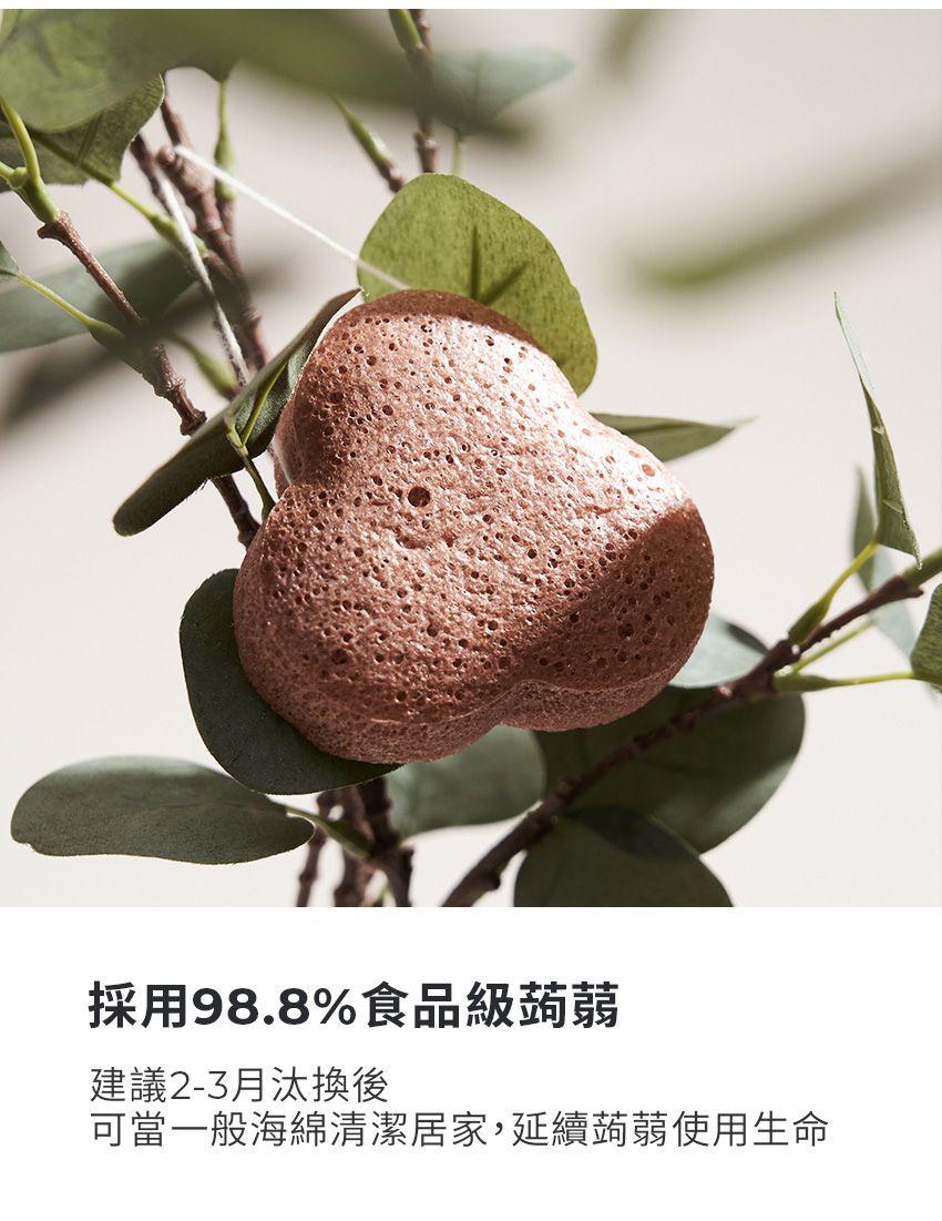 MOTHER-K - PUCOCO 沐浴蒟蒻海綿-沈靜海洋