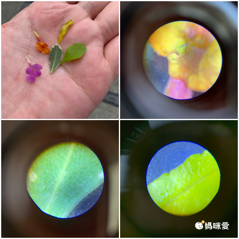 德國 Moses - 小探險家-便攜型顯微鏡