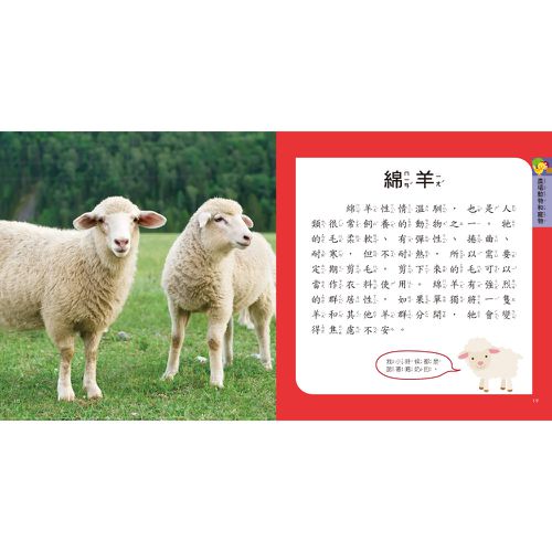 動物圖鑑小百科
