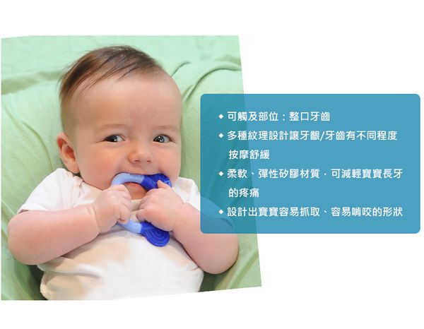 美國 green sprouts - 小綠芽食品安全等級矽膠固齒器2入組-紫紅組