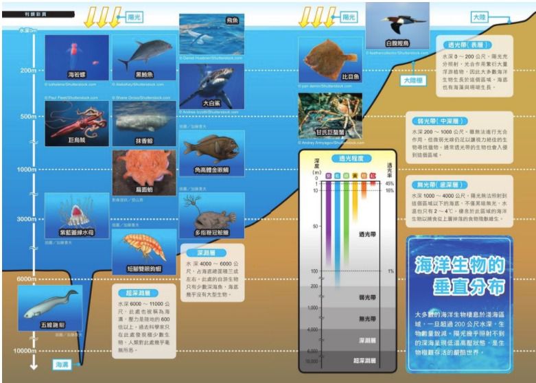 哆啦A夢科學任意門(11-15集)