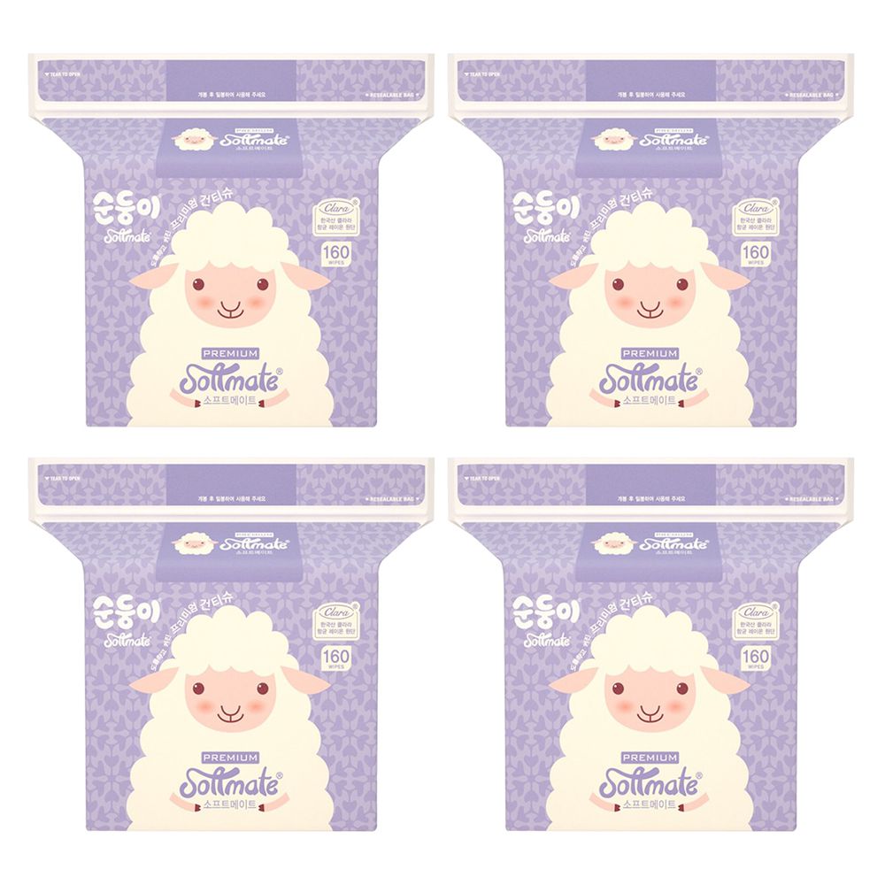 高級乾濕兩用柔巾箱購4包(160抽)
