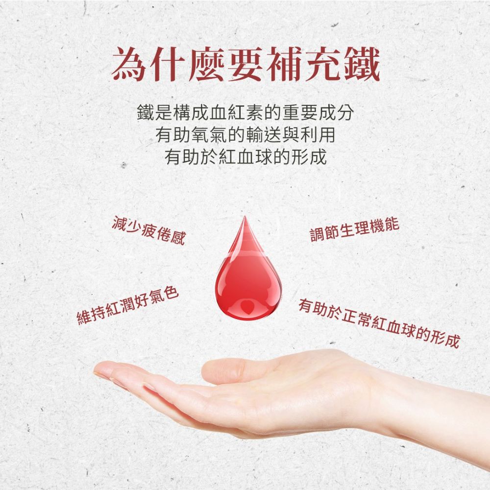 Sanct Bernhard 德國百年草本-水果鐵飲500ml/瓶