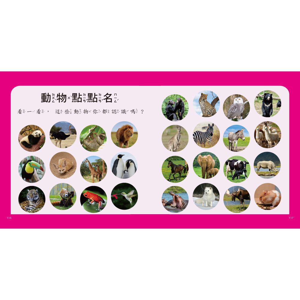 動物圖鑑小百科