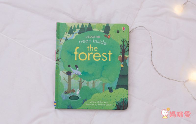 來自英國 最暢銷童書出版社【Usborne】知識遊戲書 ★ 展開超大「大圖大頁百科書」