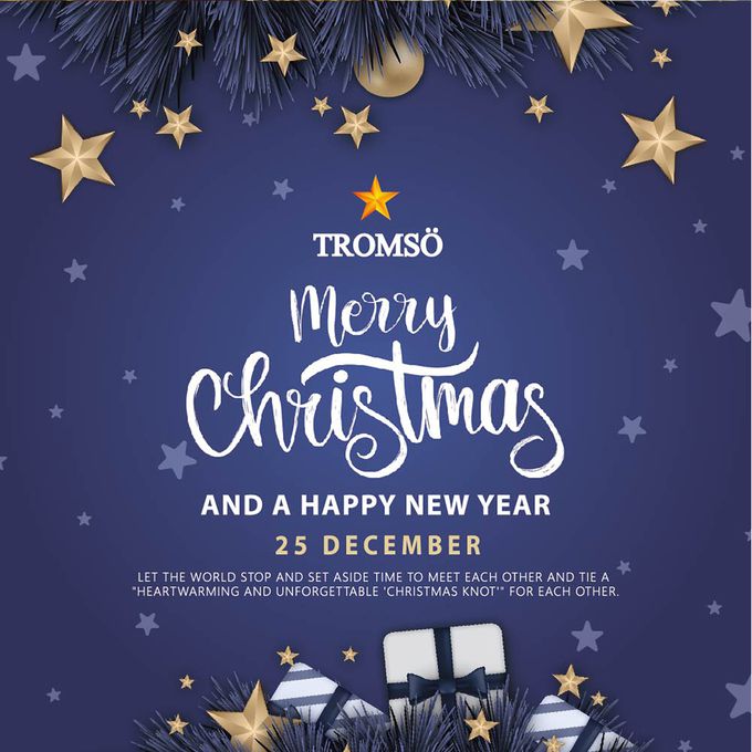 TROMSO - 北歐絕美聖誕樹-挪威松果森林 (180cm)