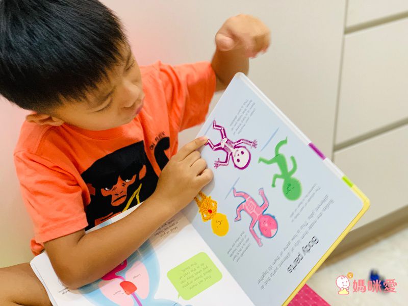 來自英國 最暢銷童書出版社【Usborne】知識遊戲書 ★ 展開超大「大圖大頁百科書」