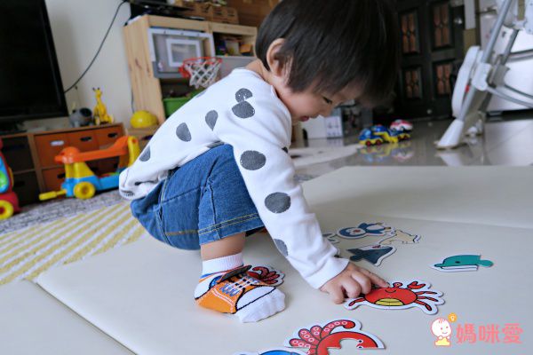 美國TRUMPETTE 造型假鞋襪