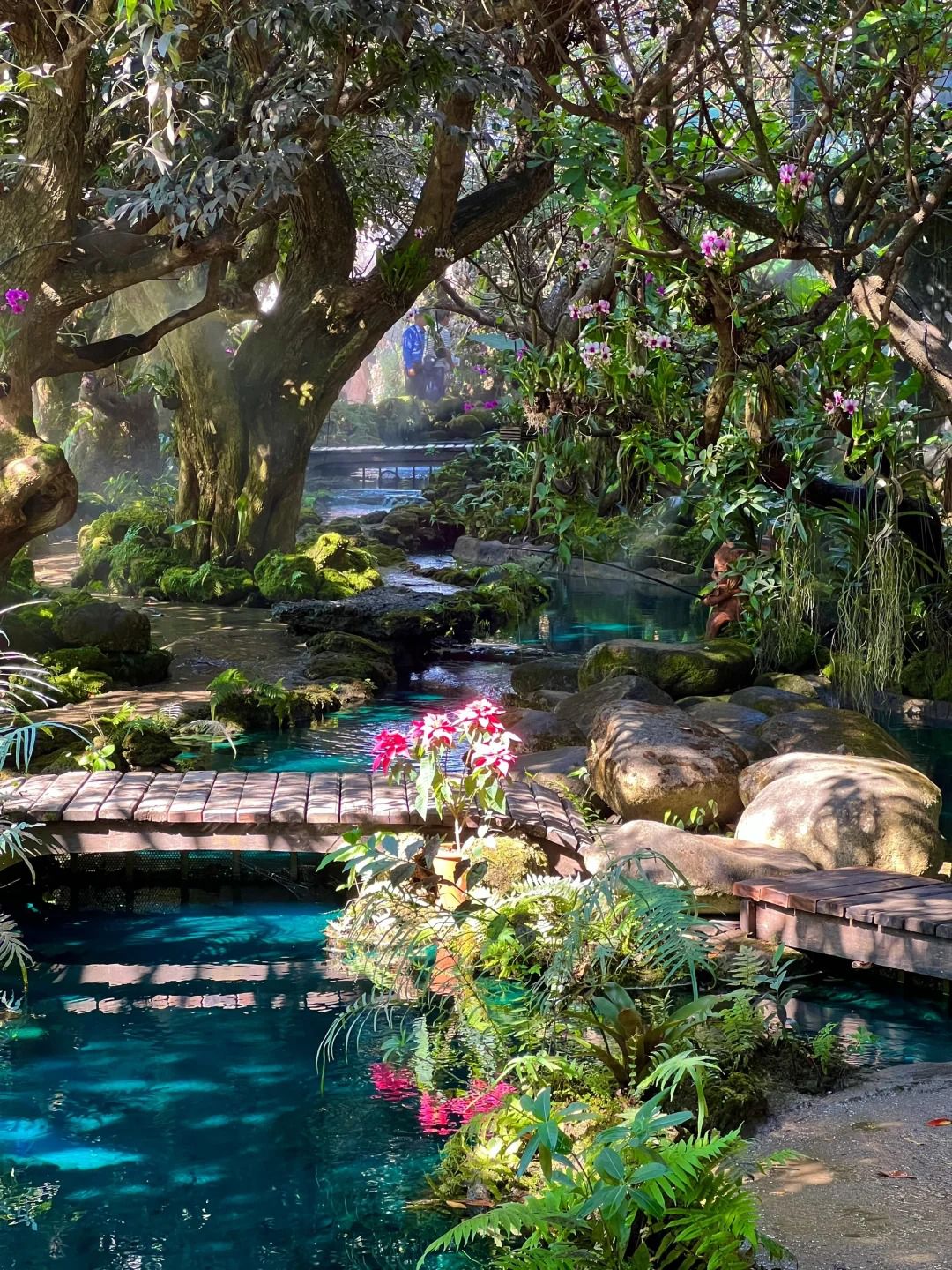 最浮誇的秘境造景｜天使瀑布 Angel’s Waterfal