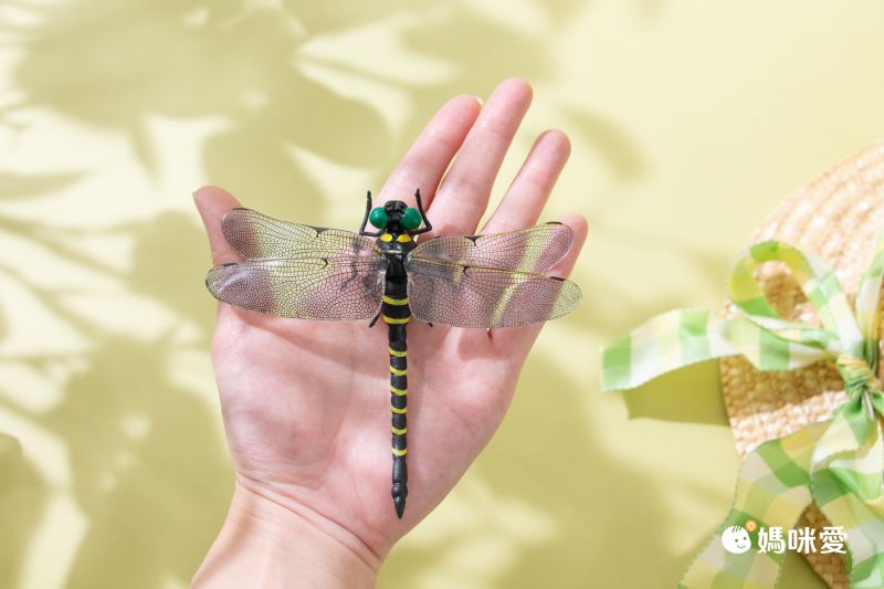 日本代購 - 超仿真蜻蜓君別針/吊飾-無霸勾蜓-黑x黃 (12x10.5cm)