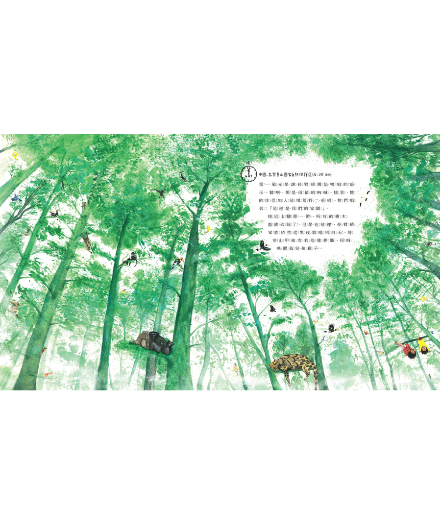 我們的世界：地球上的24小時