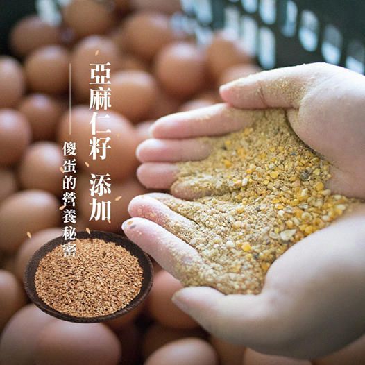 傻蛋-友善放牧蛋 - 紅羽土雞蛋-1箱/40顆