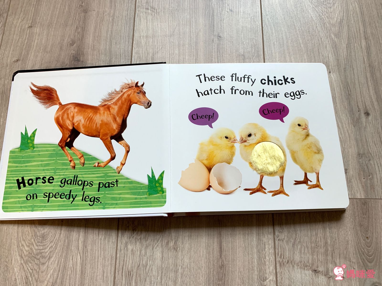 ✰英語【感統遊戲書】大集合✰ 擊鼓樂器書 / 趣味音效書 / 精裝觸摸書，促進幼兒感統發展