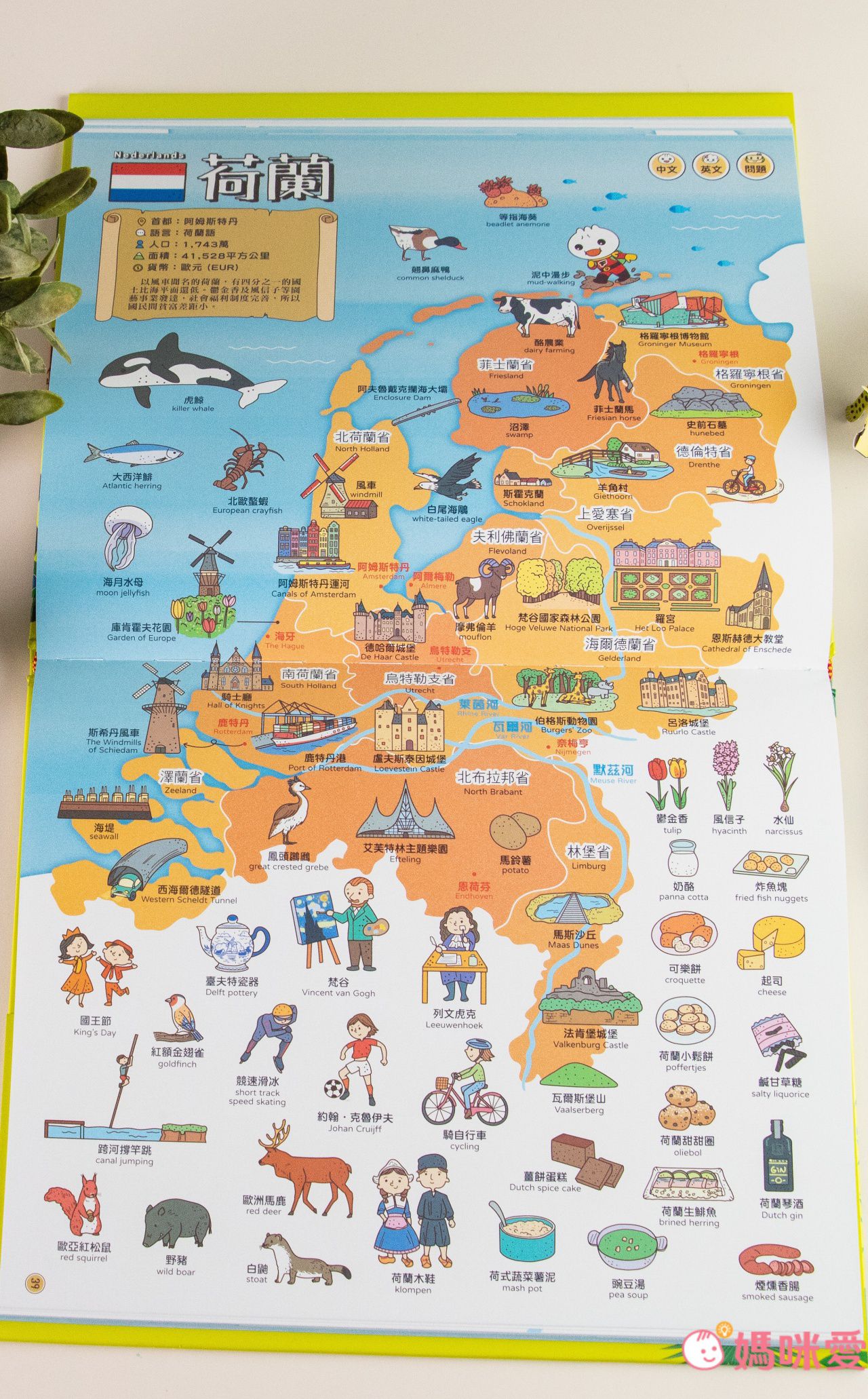 ＼下殺59折起／FOOD超人多重點讀筆套組，培養世界觀！