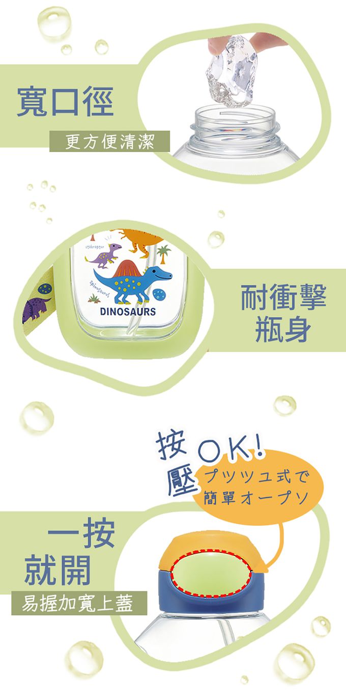 日本 SKATER - 6DX(吸管)水壺530ml-恐龍圖鑑