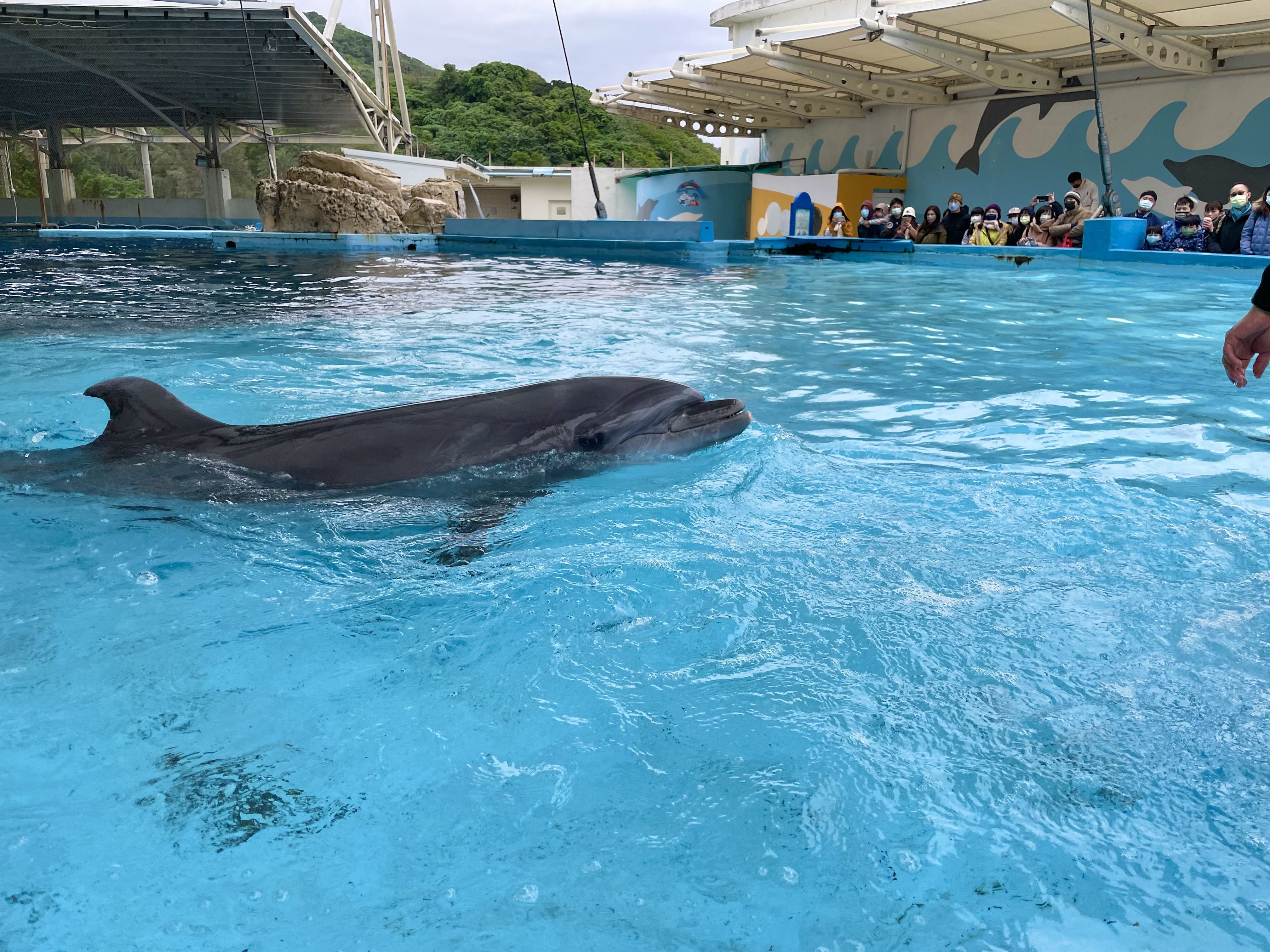 花蓮【悅樂旅店】3折起★再送樂園門票！