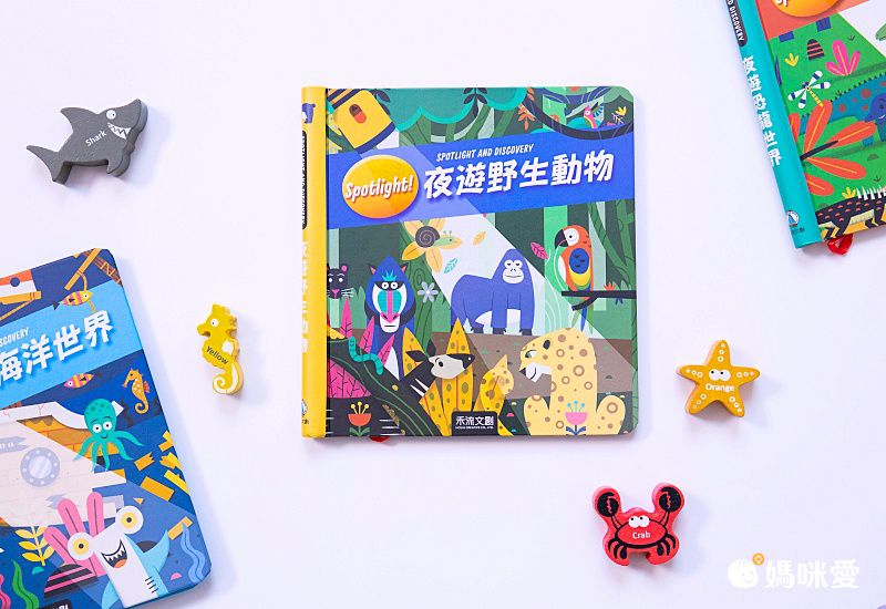【禾流文創】拿起手電筒，來場夜間探險！『Spotlight！夜遊系列』