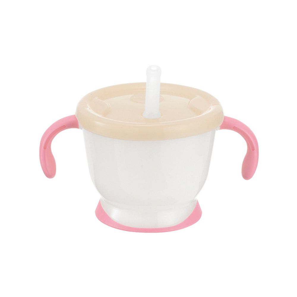 日本 Richell 利其爾 - 第三代 LC 寶寶吸管訓練杯/學習杯補充吸管-2支/包