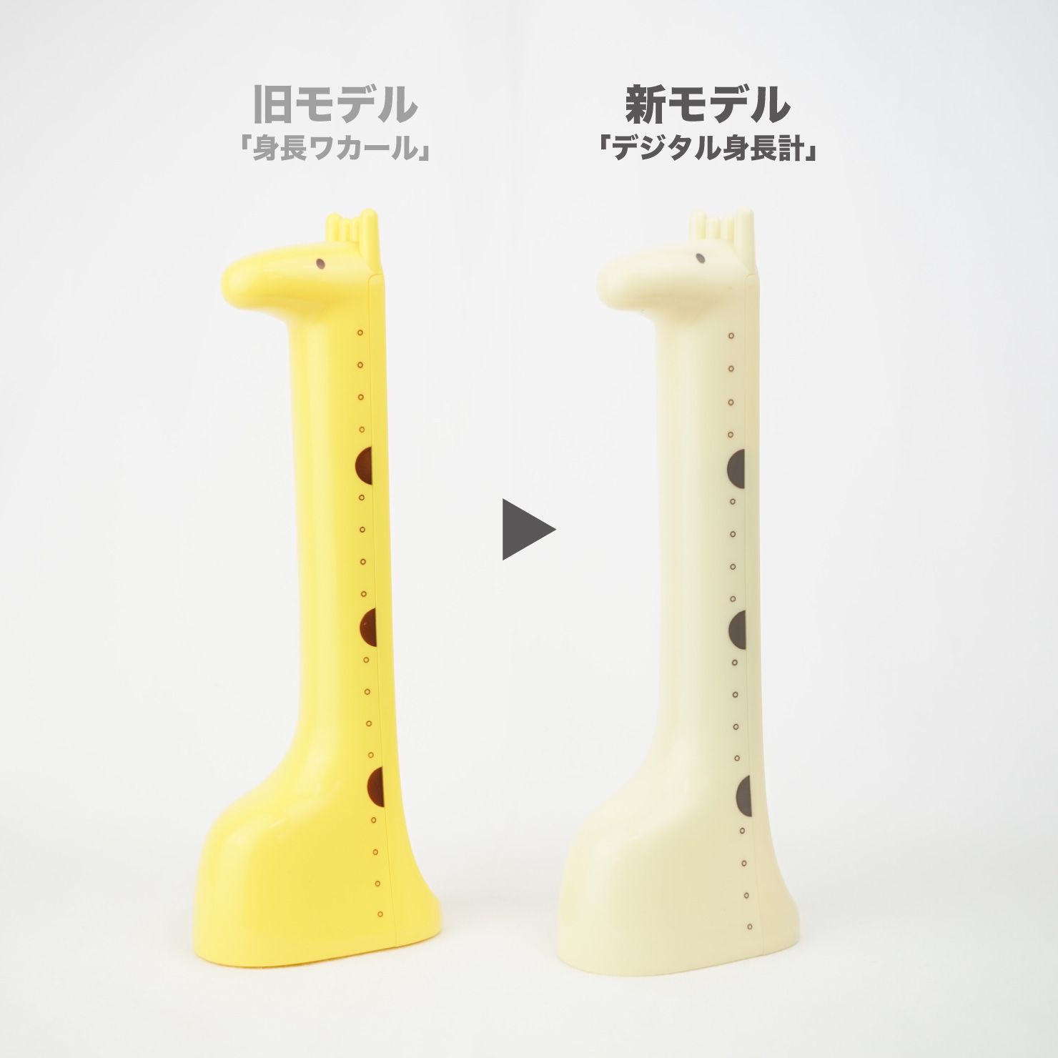 【日本Hashy】長頸鹿身高測量器