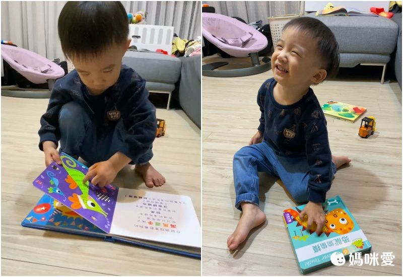 Never touch!海洋動物偷偷摸