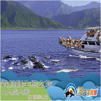 鯨世界 - 賞鯨豚生態之旅成人券