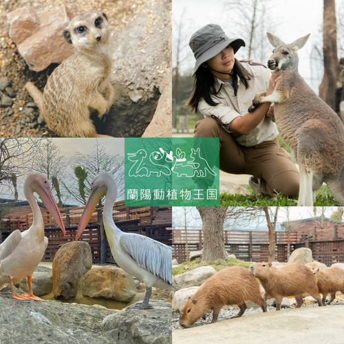 最強親子共遊農場【蘭陽動植物王國】專案加贈飼料