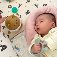 日本 Combi - 搖擺小熊-3個月起