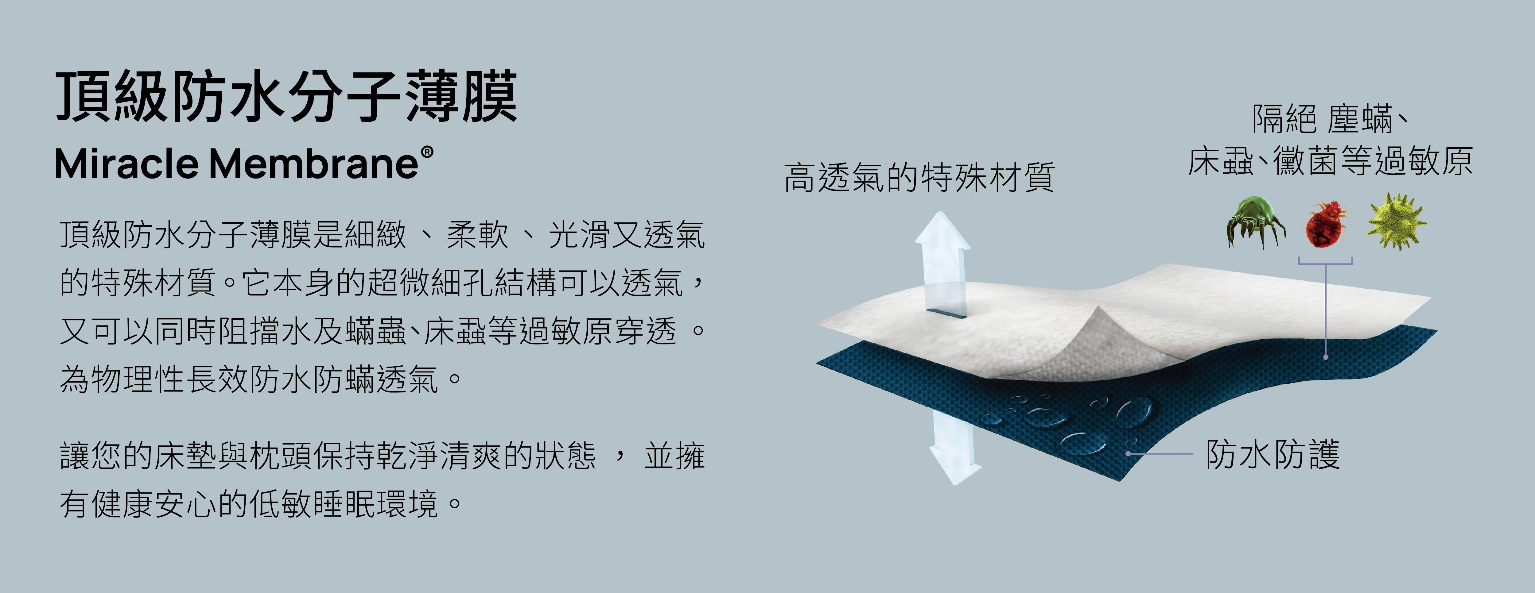 美國寢之堡 - Cotton柔棉床包式保潔墊-雙人-152*190*45 cm(5*6.2尺)