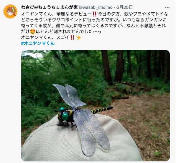 日本代購 - 超仿真蜻蜓君別針/吊飾-無霸勾蜓-黑x黃 (12x10.5cm)