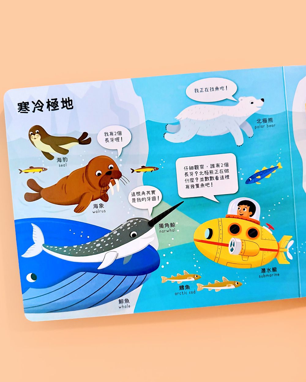 推推記憶遊戲書-海洋大考驗｜媽咪愛