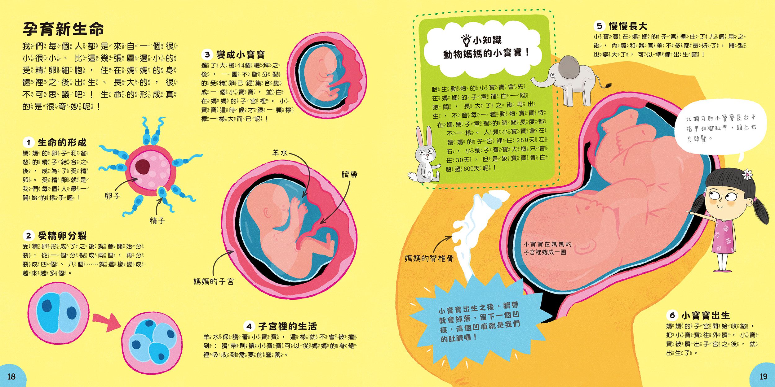 小小知識家的百科書套書10冊(書盒版)