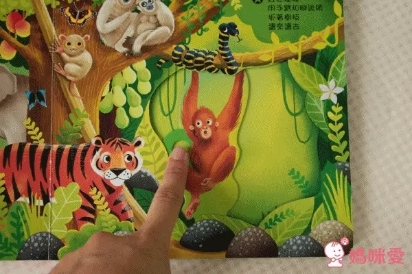 平台最優惠★英國 Campbell Busy 好棒系列操作書 中文版♫眾多媽咪好評推薦！