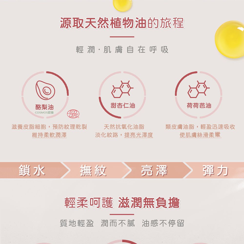 山茶花之孕撫紋按摩油-90g