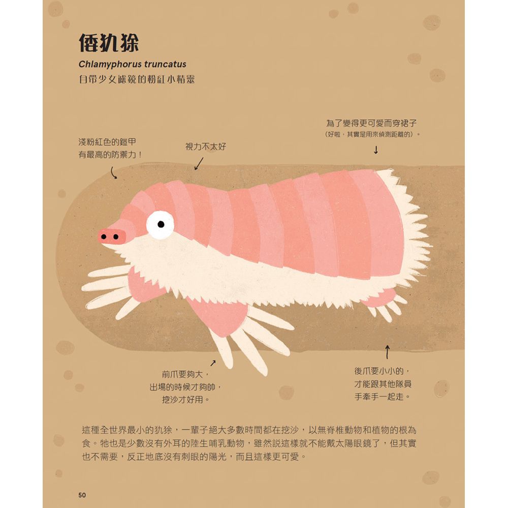 不可思議動物大集合-精裝