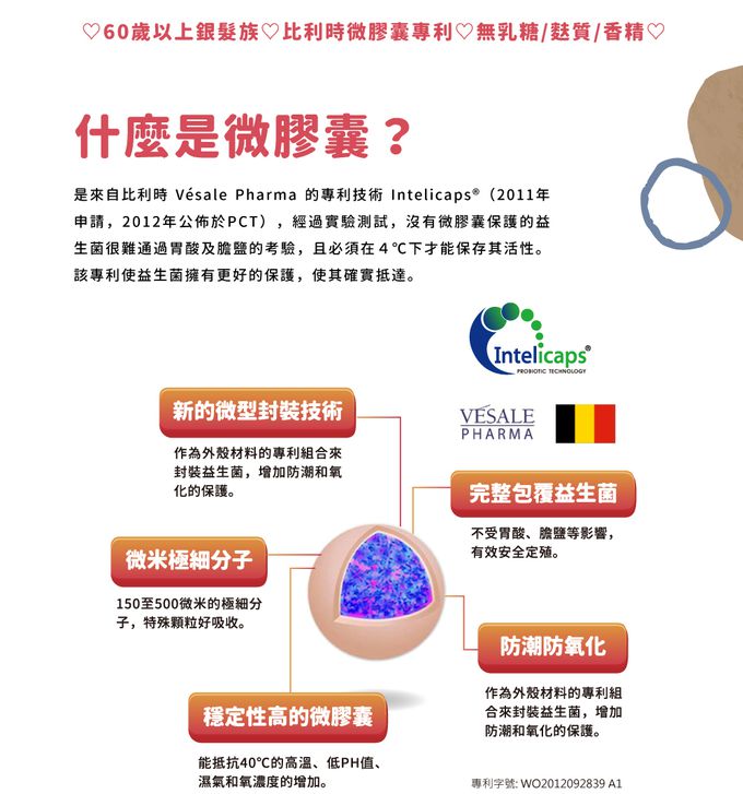 Lactobact® 德國萊德寶 - 60Plus (萊德寶銀髮族配方膠囊益生菌:60歲以上成人專用)_效期2024.05.25-60顆/盒