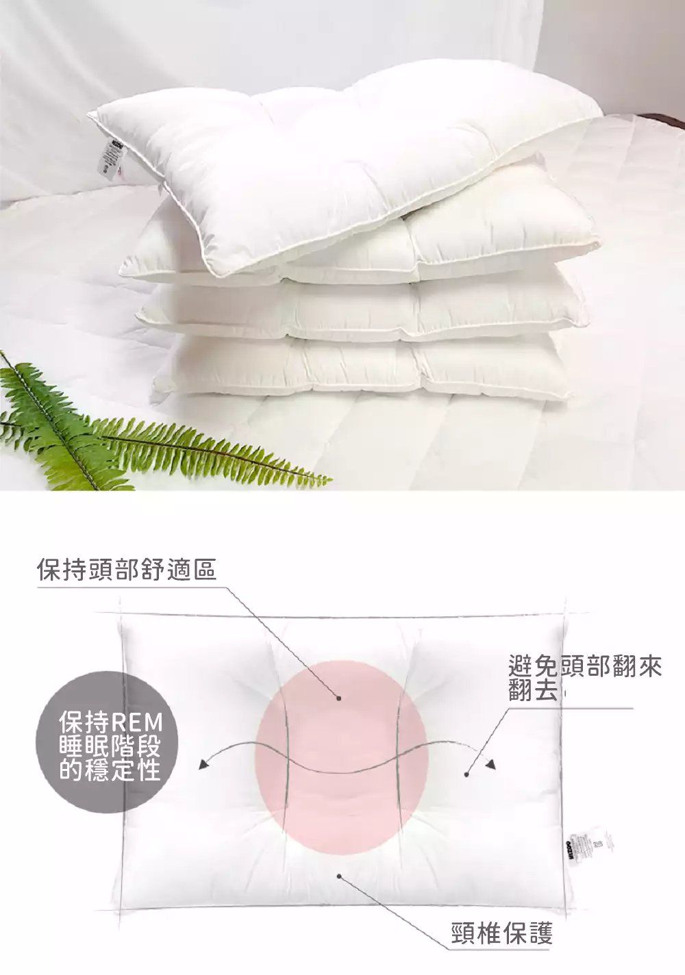 韓國 Hello HiZoo - 手工製可愛動物防蟎抗菌兒童枕-天王鯊 (30x50cm)