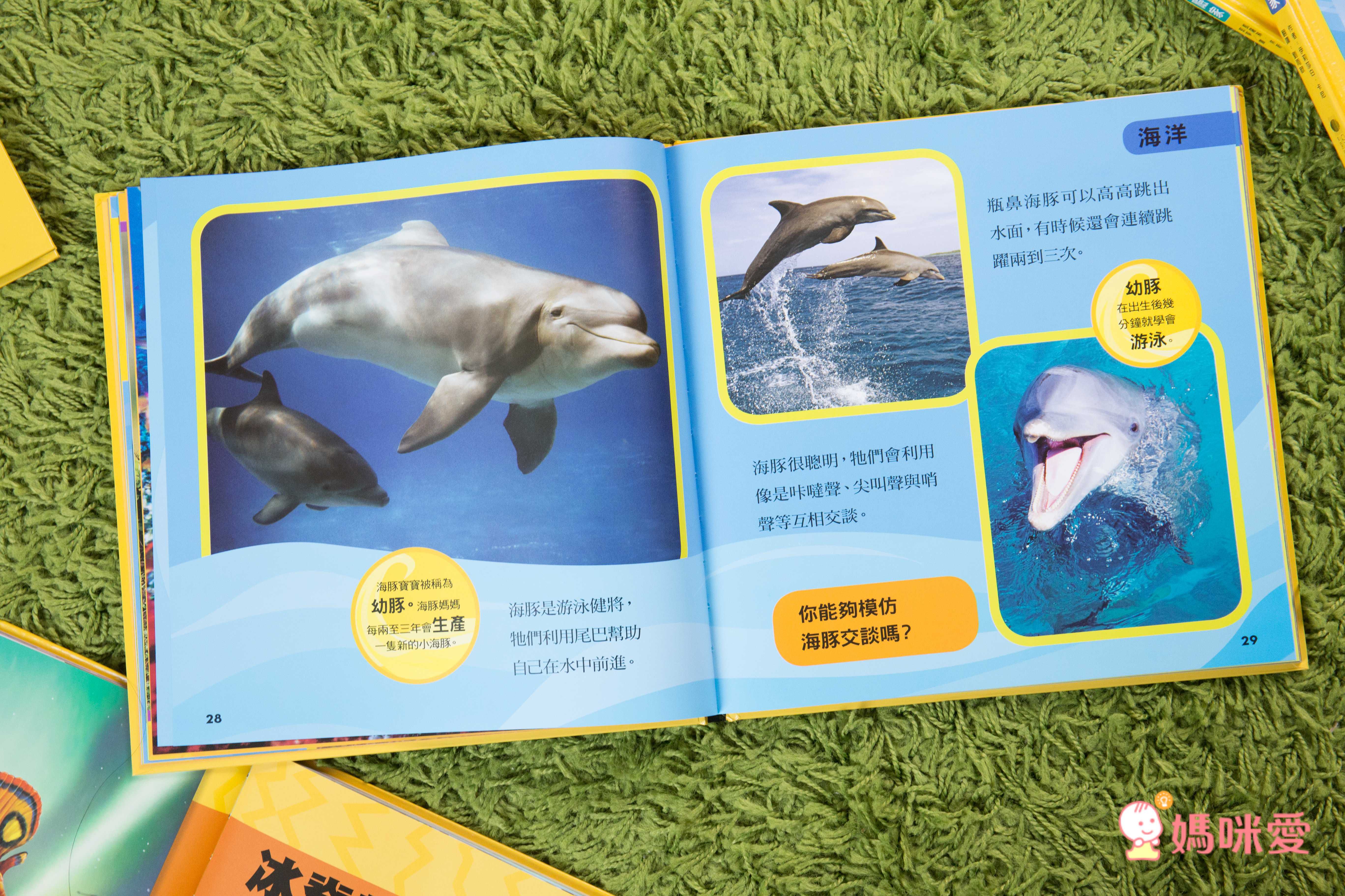 小小動物探險家 (精裝 / 128頁 / 全彩印刷)